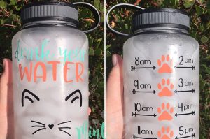 cute water bottle with hydration reminders