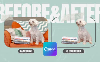 How to Remove Backgrounds & Objects in Canva: Step-by-Step Tutorial (2024)