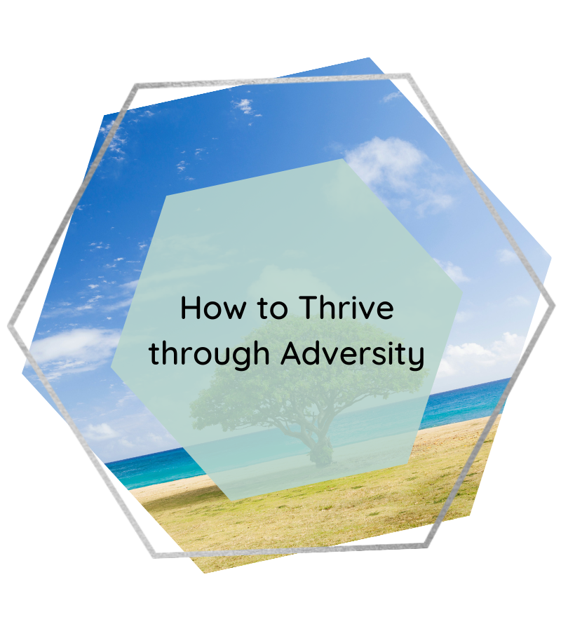 How to Thrive Through Adversity
